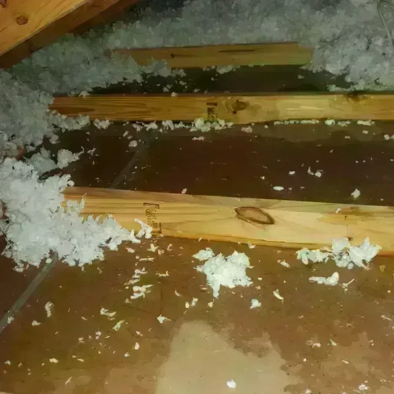 Attic Water Damage in Marion, NC